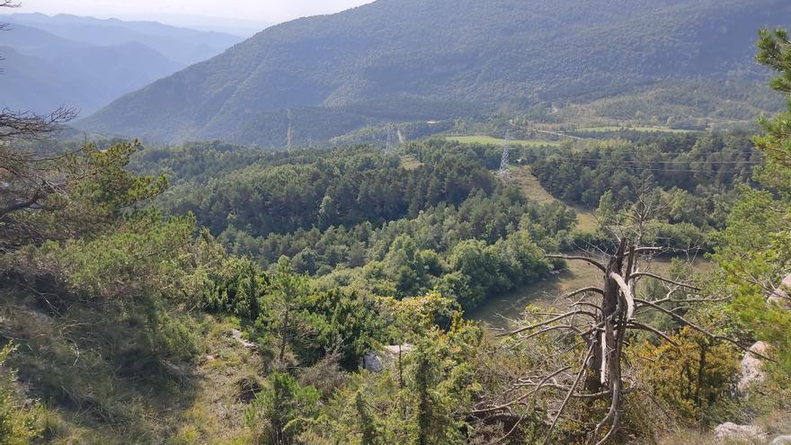 Les ADF del Berguedà demanen finançament suficient per comprar vehicles i renovar el material