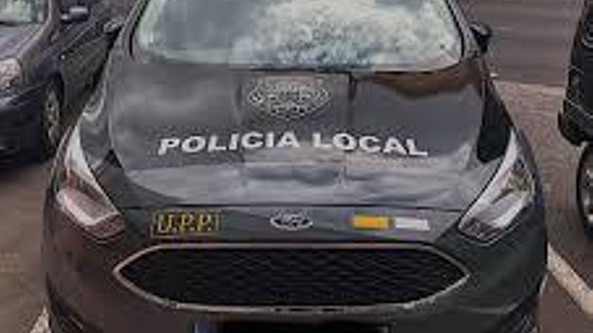 Vehículo de la Unidad de Prevención Policial (UPP) de Arona