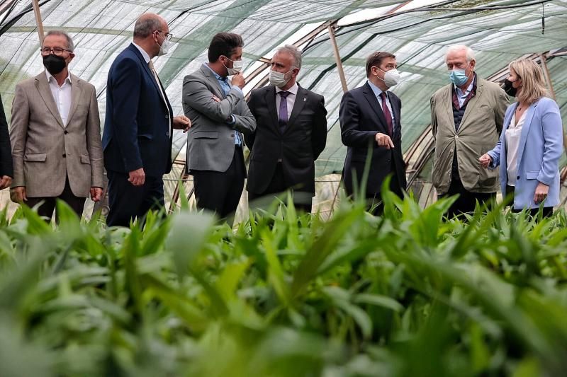 Visita del ministro de Agricultura, Luis Planas