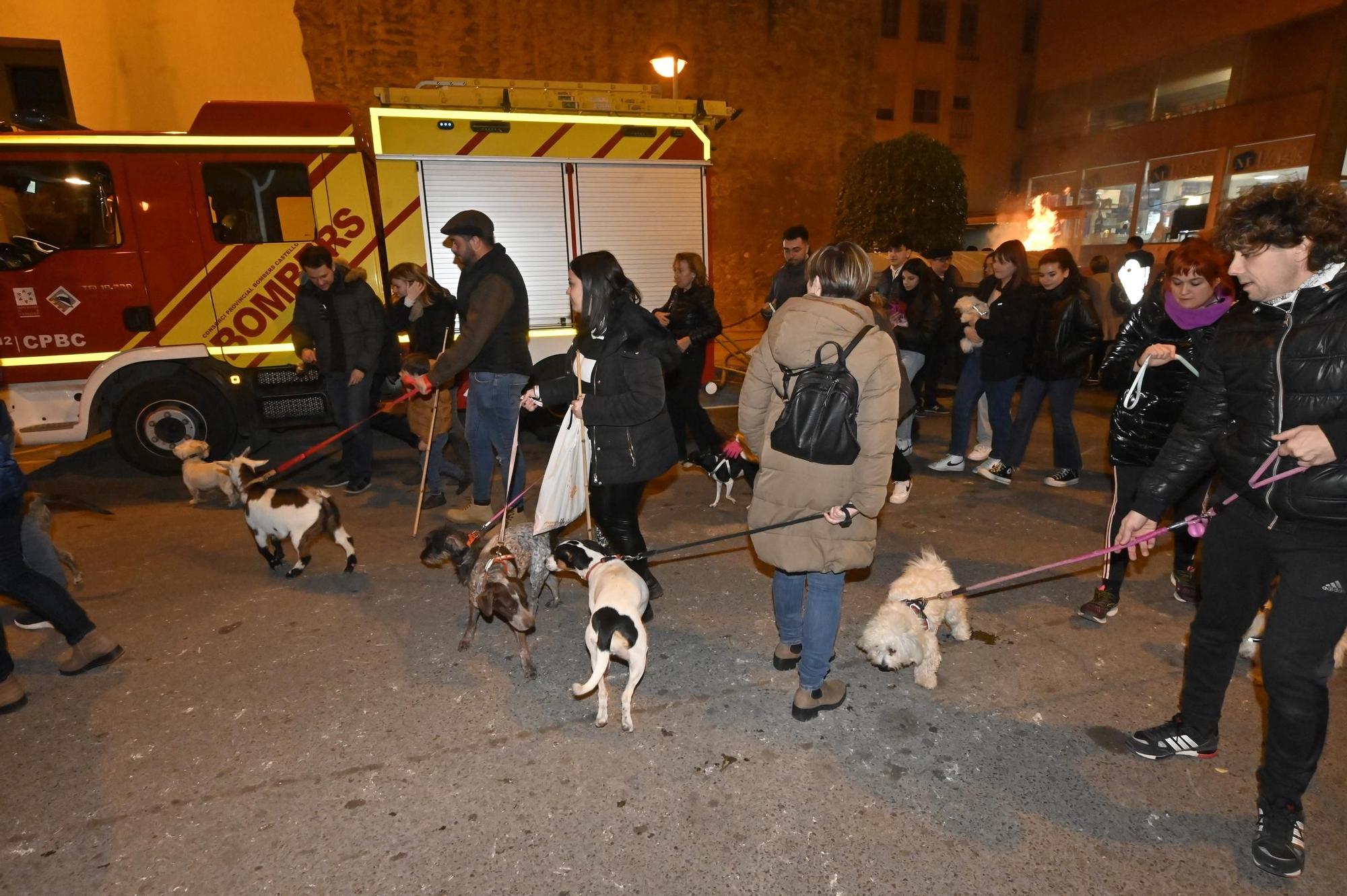 Las mejores fotos de la Matxà de Sant Antoni 2023 en Vila-real