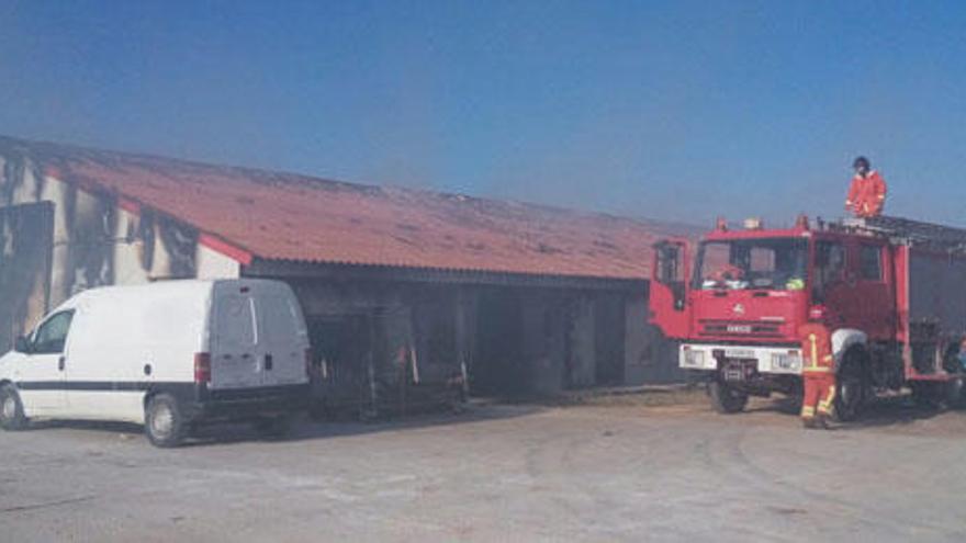 Un incendio en una granja de Tuéjar causa la muerte de 30.000 pollos