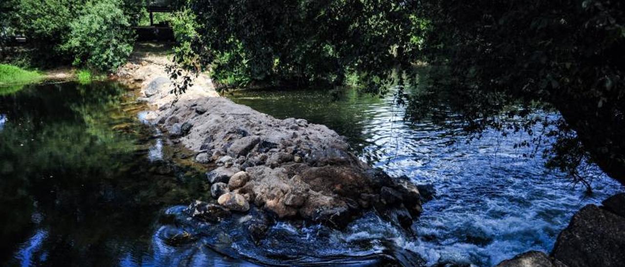 Represa ubicada en el Umia a su paso por Cabanelas.