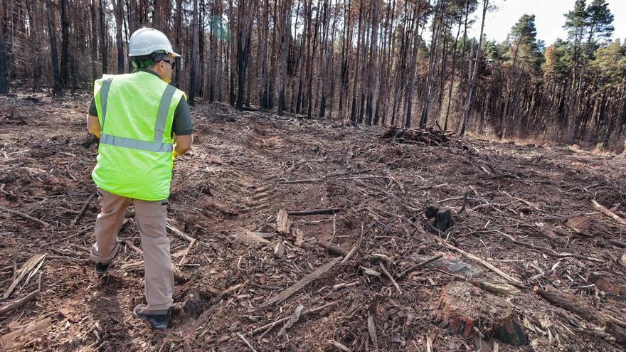 63 parados trabajarán en las zonas afectadas por el incendio forestal