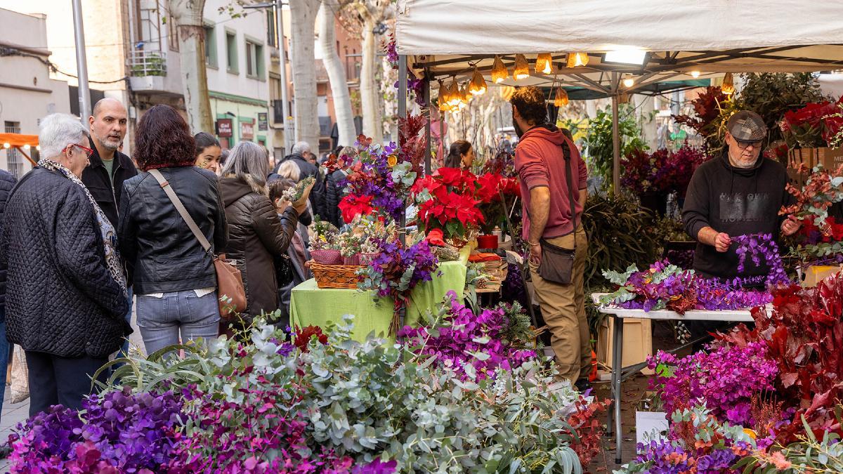 Fira de la Puríssima 2024.