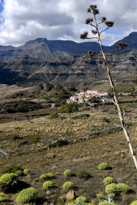 GRAN CANARIA 26-01-2019  SANTA LUCIA DE TIRAJANA-SAN BARTOLOME DE TIRAJANA. Fotos al macizo de Amurga. Fotos a los terrenos de la familia de Román comprados por el Cabildo.  FOTOS: JUAN CASTRO