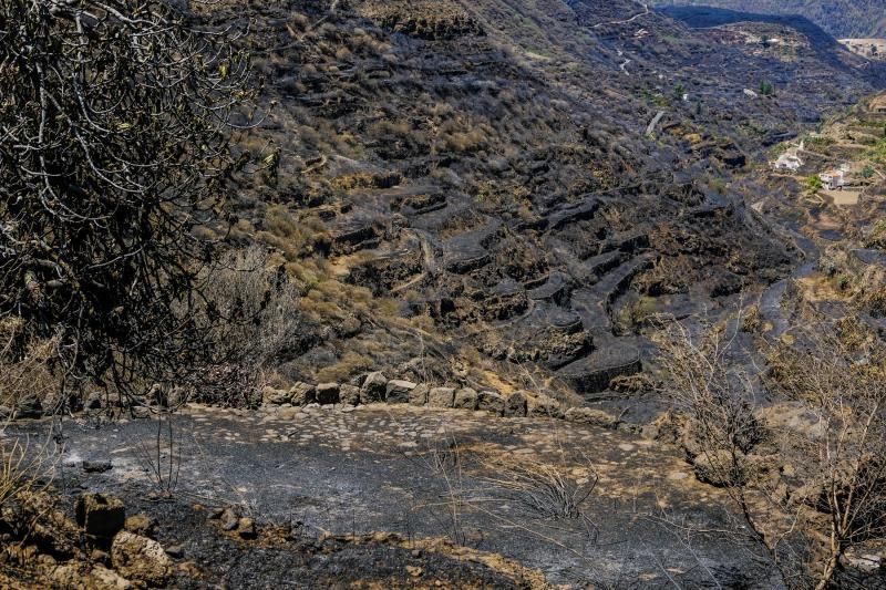 Consecuencias del incendio: De Valleseco a Artenar