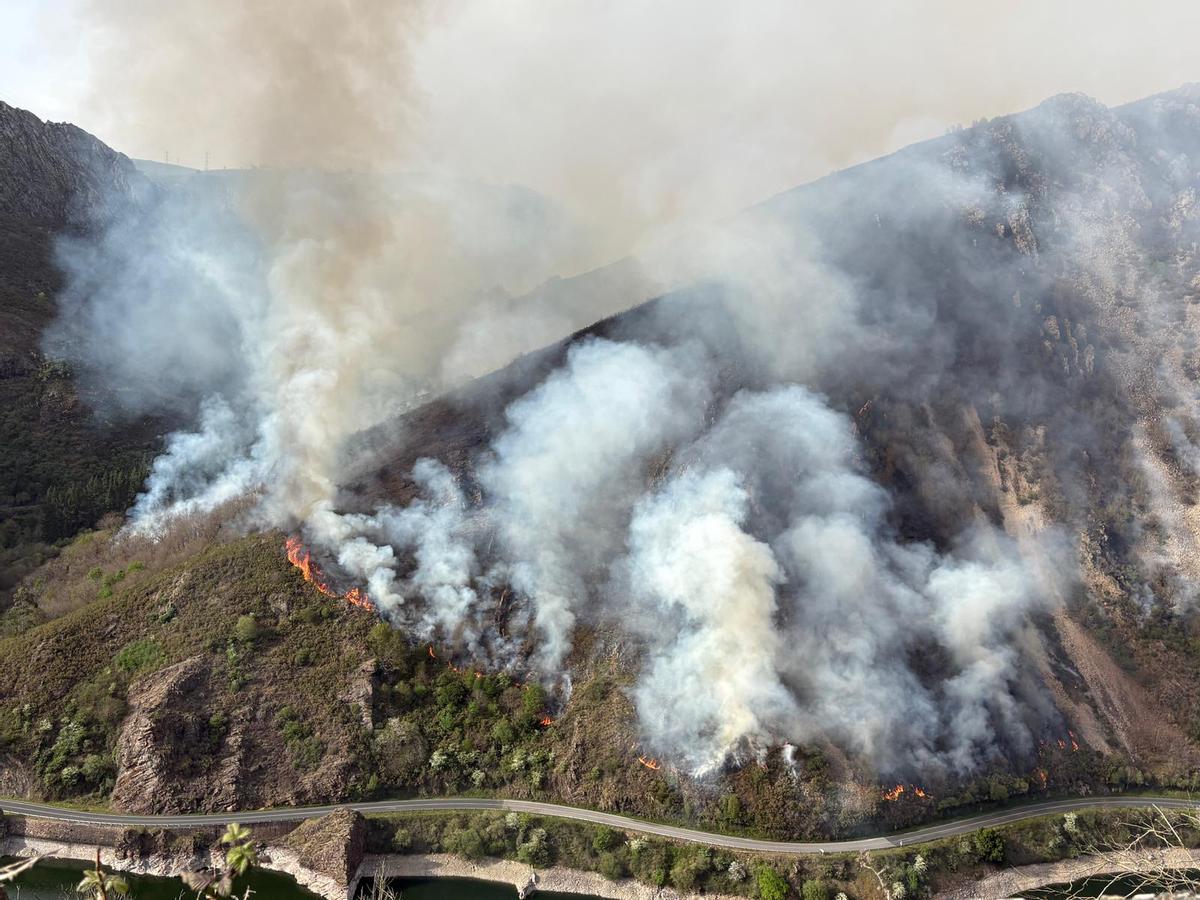 Vista del incendio que obligó a cortar la AS-15.