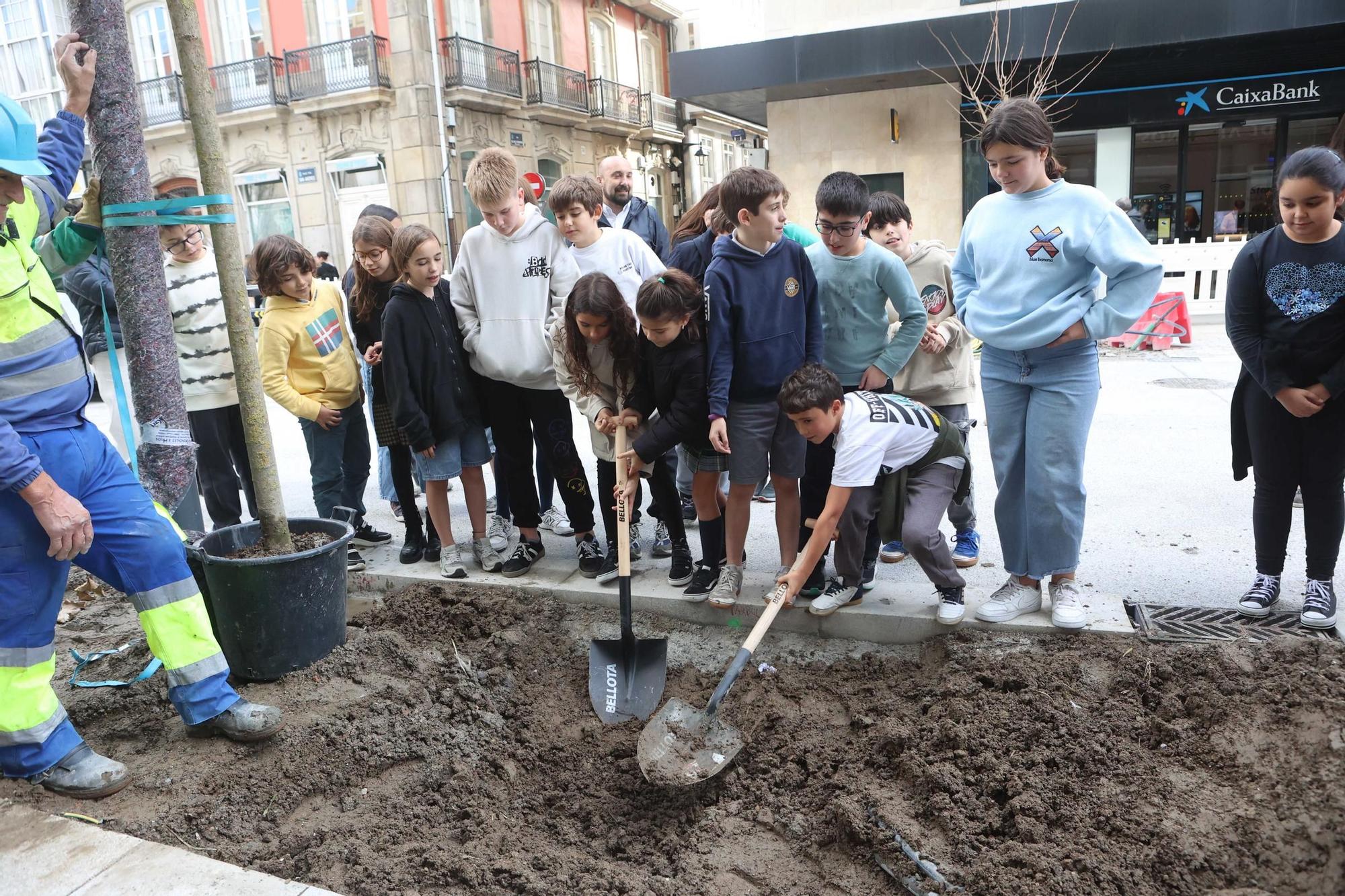 Alumnos del Eusebio da Guarda plantan un árbol en la recta final de la reforma de San Andrés