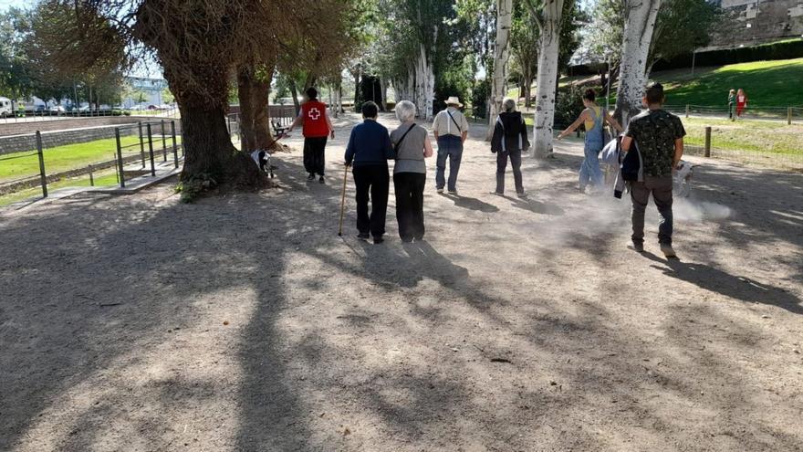 La DPH y Cruz Roja impulsan el plan ‘Caminando acompañados’