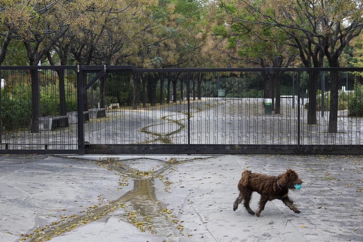 Lluvias torrenciales en la provincia de Valencia