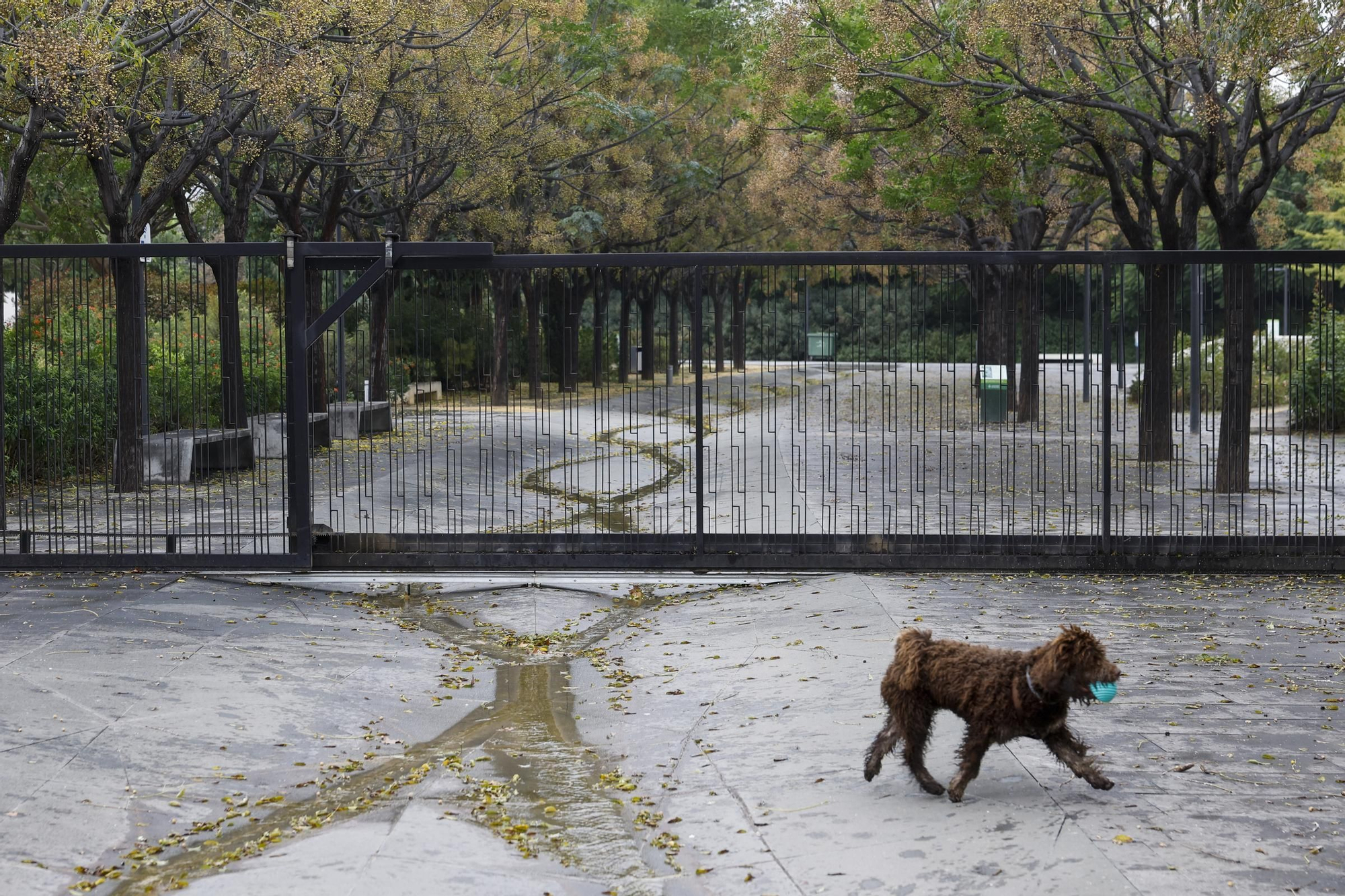 Lluvias torrenciales en la provincia de Valencia