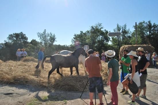 Festa del Segar i el Batre