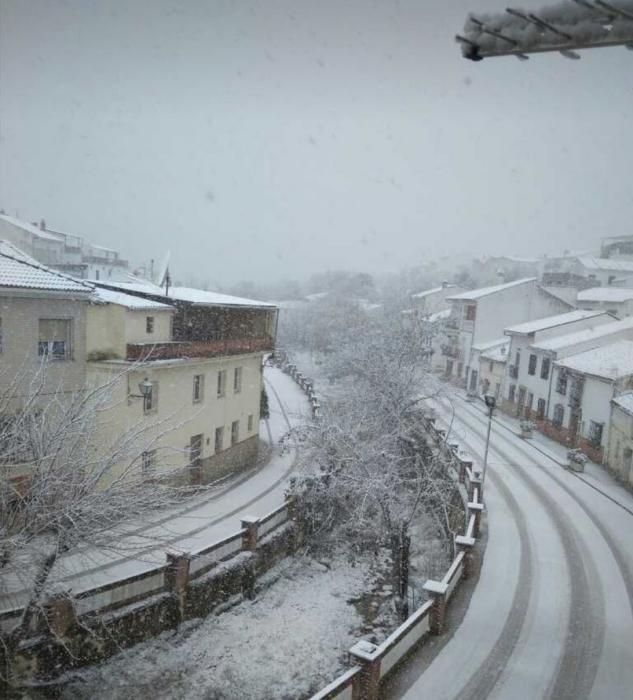 Nieve en Alfarnate.