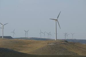 Ribera anuncia que el Gobierno se reunirá con el sector energético para impulsar las renovables de forma ordenada