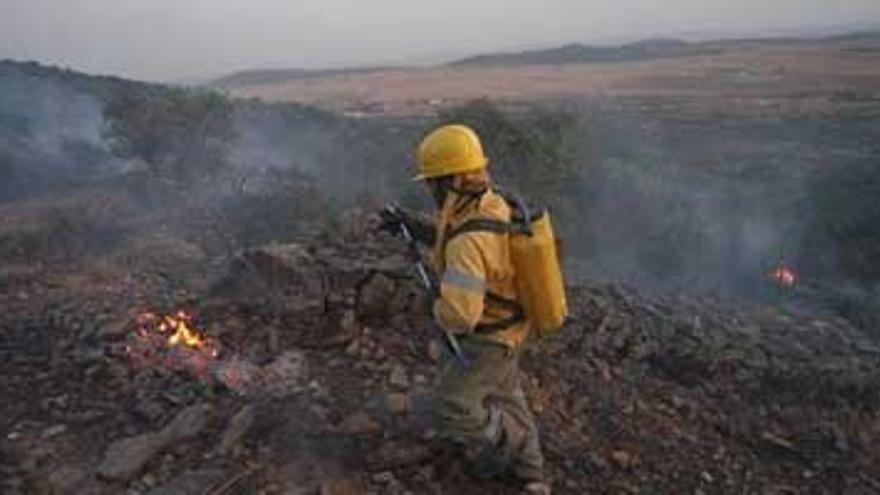 El 53,9% de los incendios de este verano en Extremadura fue intencionado