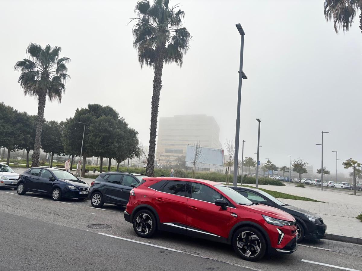 Las imágenes de la niebla en Palma