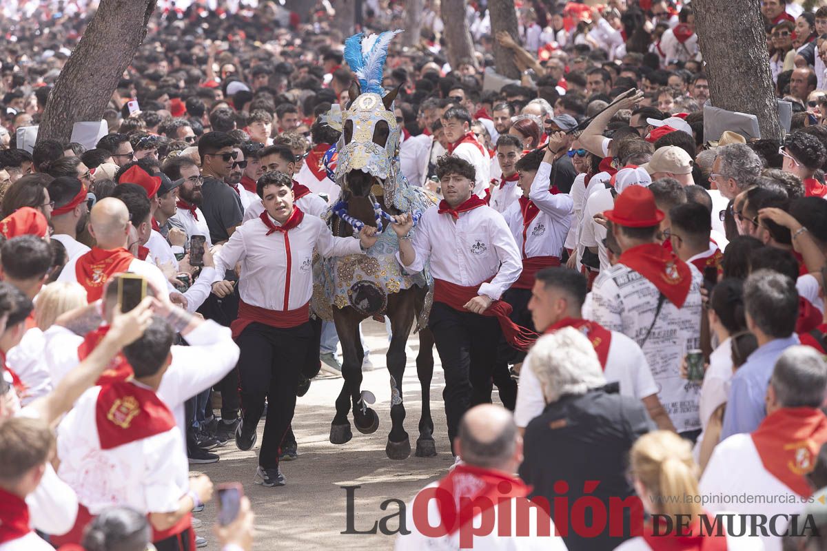 Así se ha vivido la carrera de Los Caballos del Vino en Caravaca