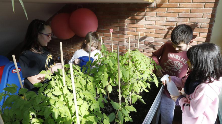 Los que quedan en Tudela Veguín, el pequeño gran colegio