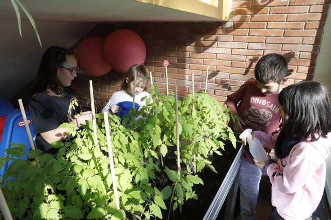 EN IMÁGENES: La serie "Los lunes, al cole" visita Tudela Veguín