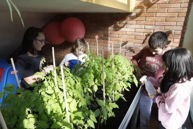 Los que quedan en Tudela Veguín, el pequeño gran colegio