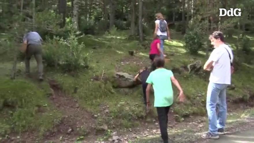 Els boscos de Campelles s'omplen de cotxes i boletaires en el primer dia "fort" de la temporada