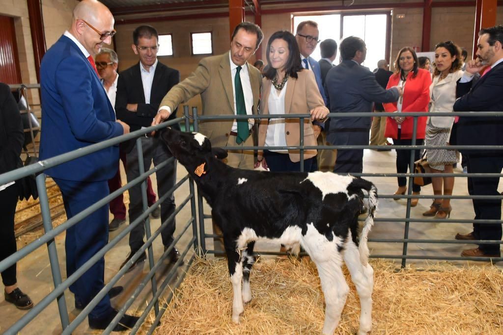 Arranca la Feria Agroganadera de Los Pedroches