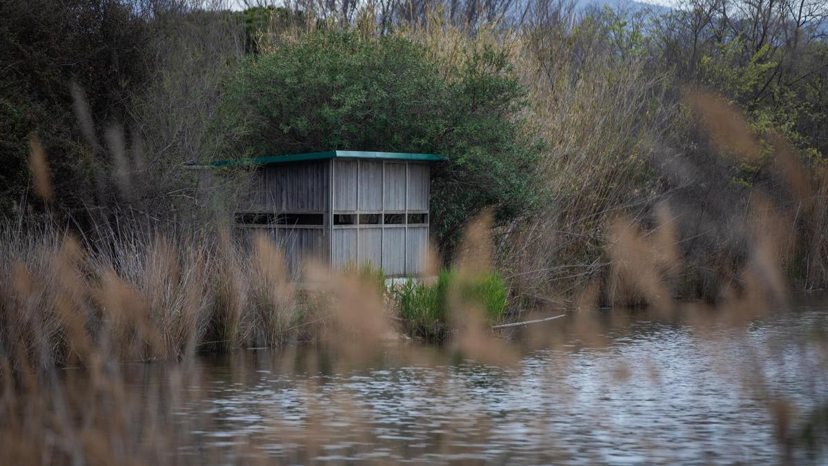 Humedales del delta del Llobregat.