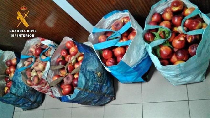 Sorprendidos dos vecinos con 100 kilos de fruta robada