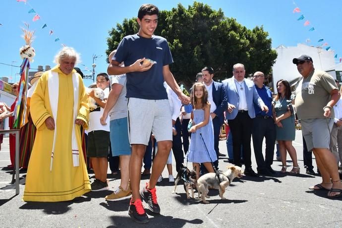 05/08/2019 LOMO MAGULLO. TELDE. Procesión de la Virgen de Las Nieves y pase de mascotas al finalizar el acto.   Fotógrafa: YAIZA SOCORRO.  | 05/08/2019 | Fotógrafo: Yaiza Socorro