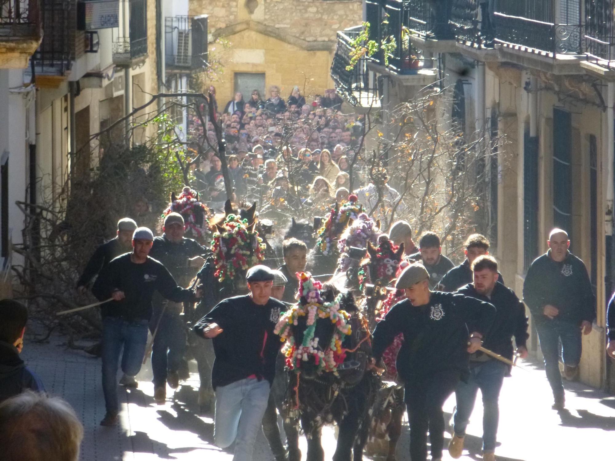 Las mejores imágenes de las espectaculares 'rossegades' de Albocàsser en Sant Antoni