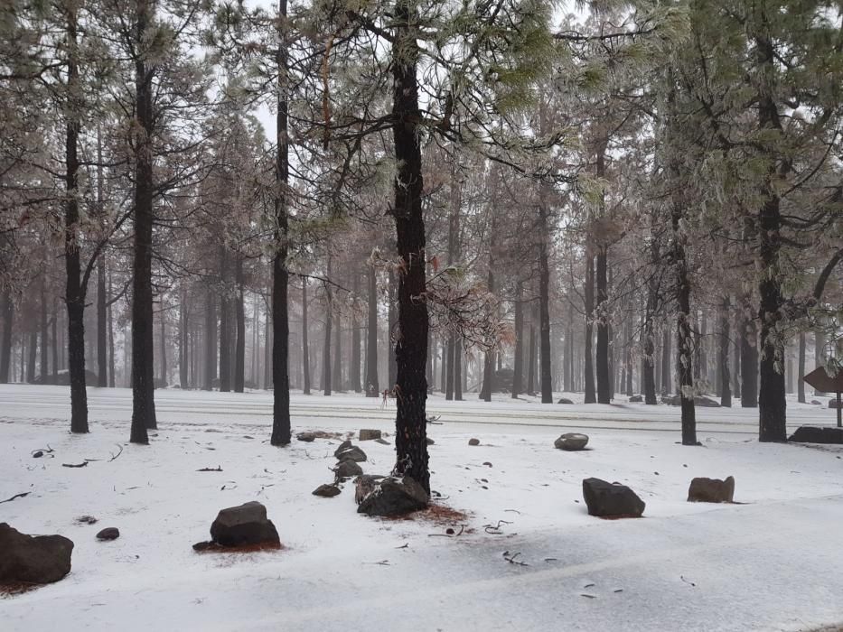 Nieve en Gran Canaria (29/01/2018)