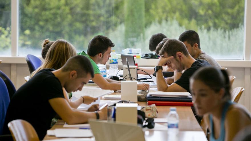 Los universitarios alicantinos cobrarán 600 euros para evitar el abandono de los estudios