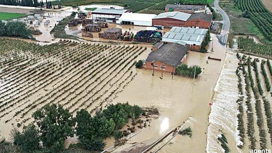 Camps inundats a Puigverd (Lleida).