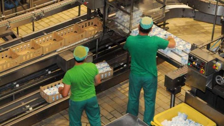 Dos trabajadores envasan yogures en una fábrica de lácteos. / gustavo santos