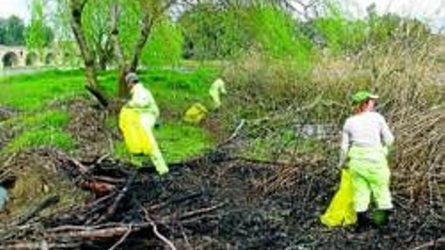 La CHG retira 16 toneladas de basura del río a su paso por la ciudad en el último año