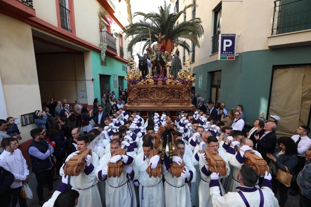 Domingo de Ramos | Pollinica