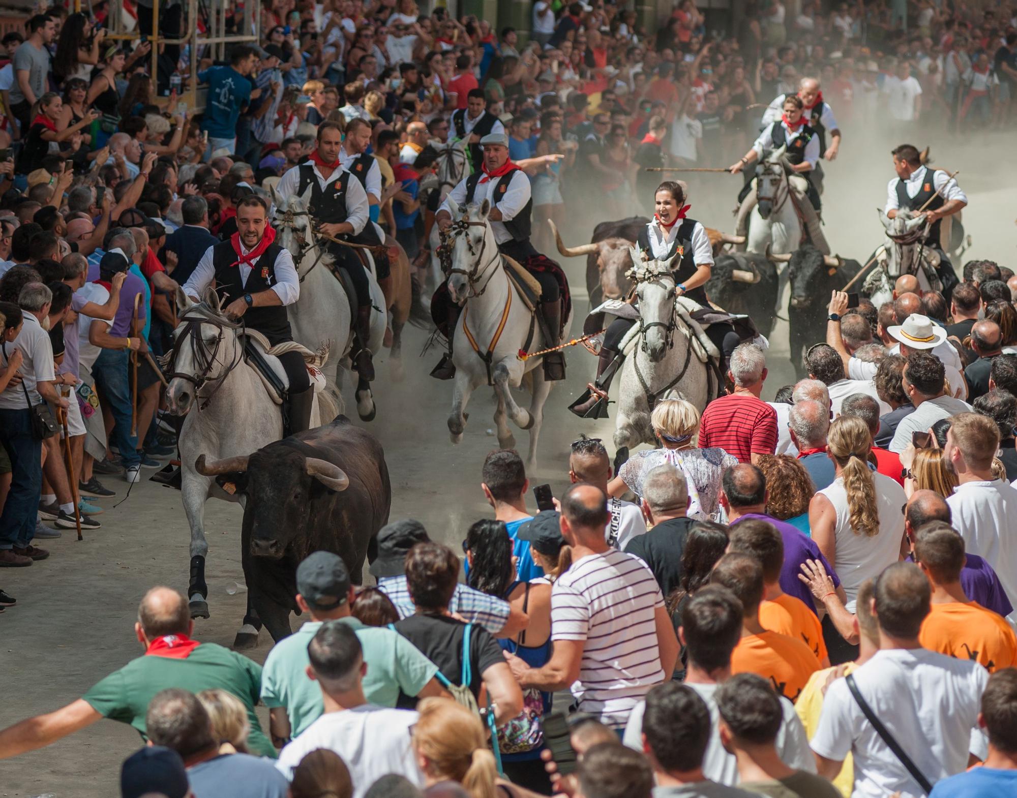 Las mejores fotos de la tercera Entrada de Toros y Caballos de Segorbe