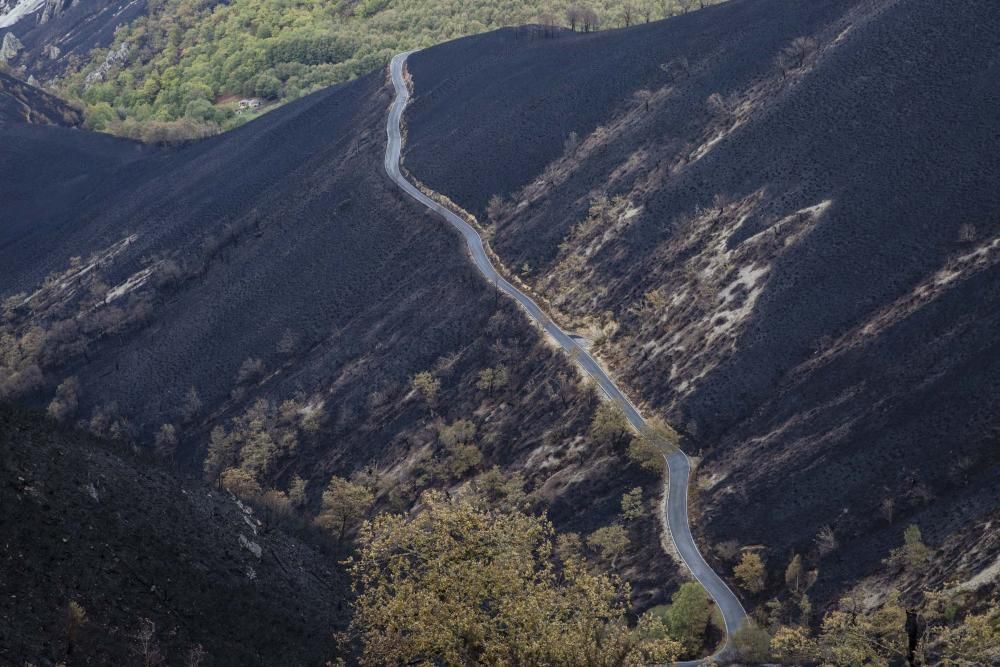 Desolación en el suroccidente asturiano tras los incendios