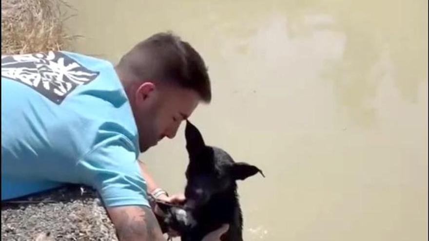 Rescatan en Murcia a una perrita abandonada en una acequia con un ladrillo atado al cuerpo