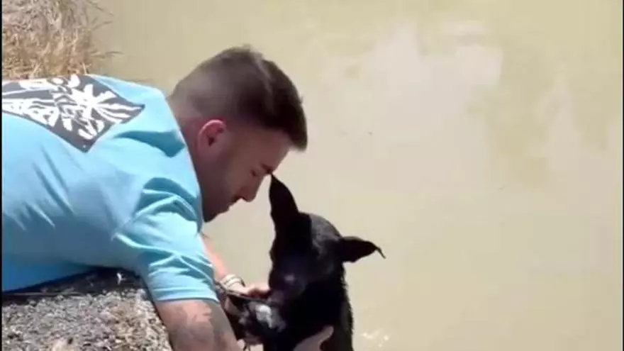 Rescatan en Murcia a una perrita abandonada en una acequia con un ladrillo atado al cuerpo
