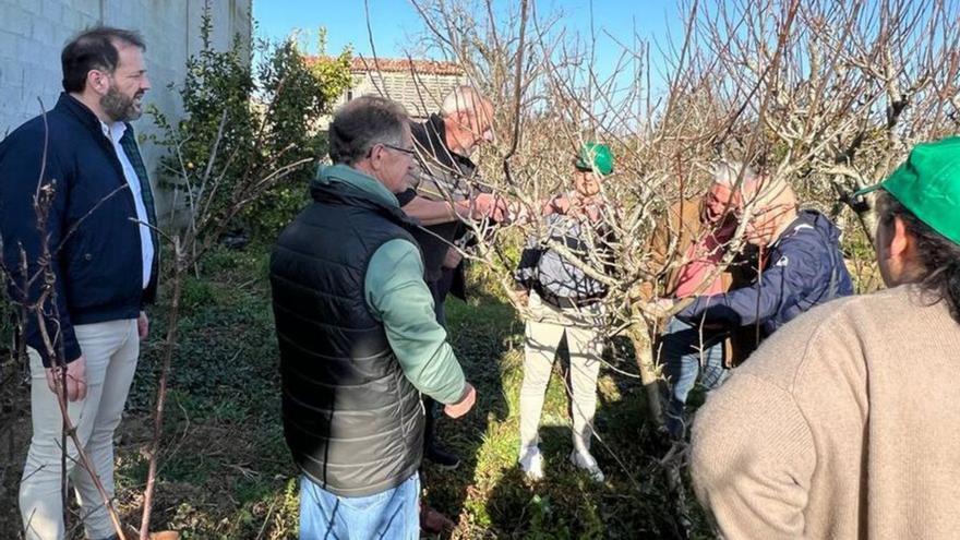 Ponteceso ofrece formación en el cultivo de las huertas y A Pobra en la poda de frutales