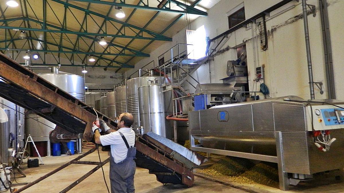 Recepción de uvas en una bodega de la DO Tierra del Vino. | L. O. Z.