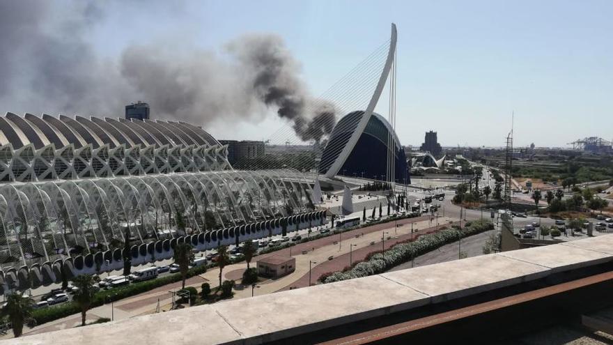 Incendio en el Oceanogràfic de Valencia