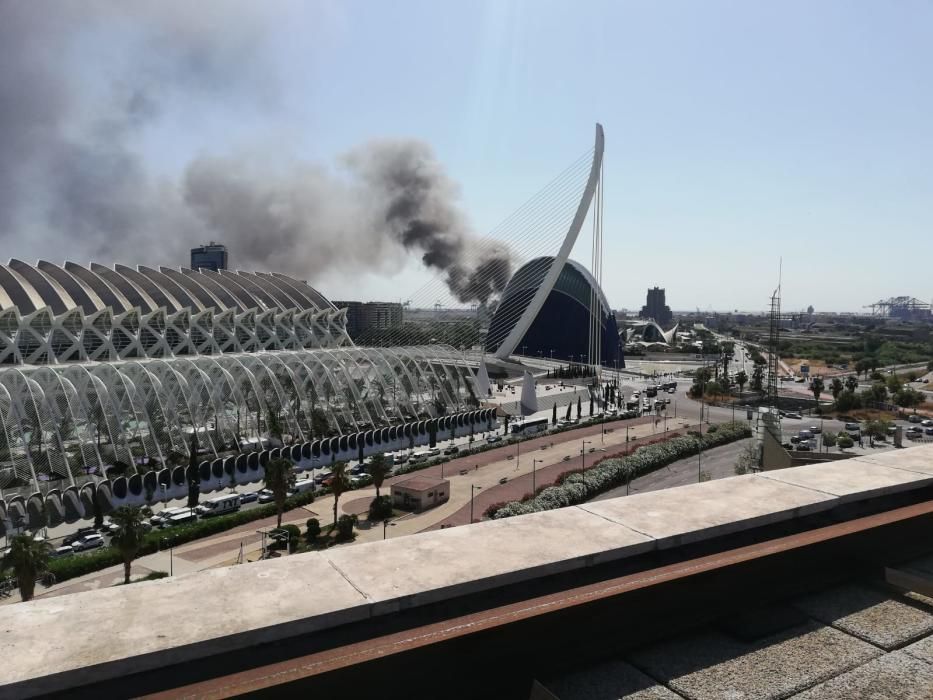 Incendio en el Oceanogràfic de Valencia