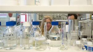 zentauroepp44510329 tarragona  tarragones   01 08 2018  sociedad  iciq  uno de l190709152845