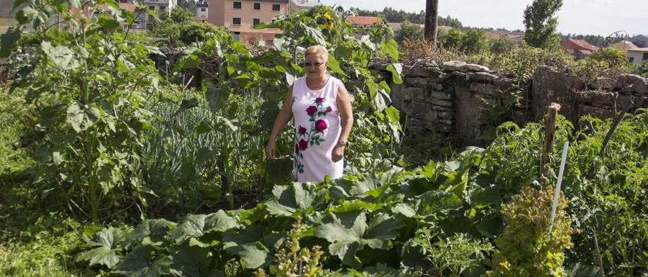 Filucha Miguelez junto a los girasoles de su huerto en Agolada. // Bernabé/Ana Agra