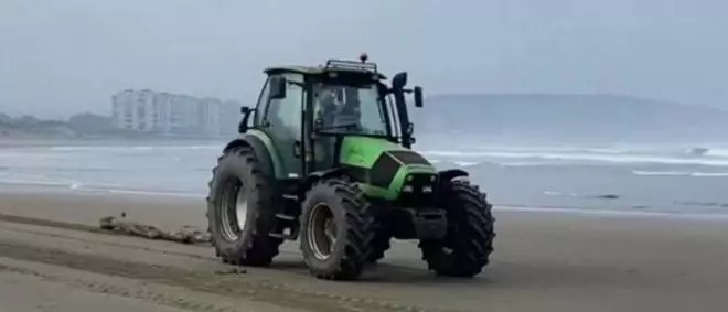 Una plataforma pide justicia para la perra atropellada en la playa de Salinas