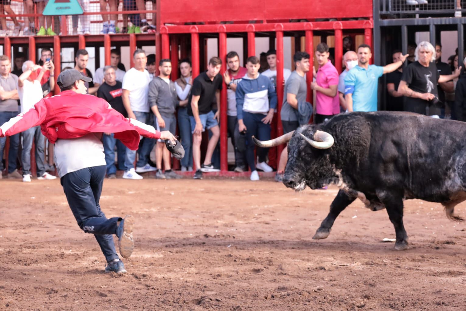 Las mejores imágenes de la jornada de toros del miércoles en Almassora