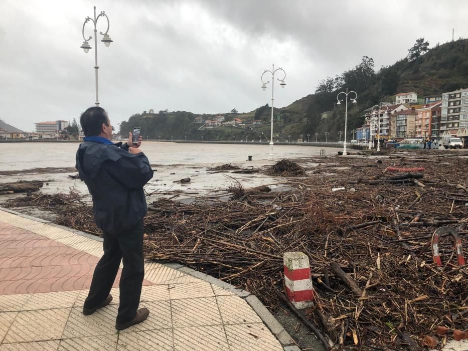 Tiempo en Asturias: Las espectaculares imágenes de las riadas, argayos e incidencias del temporal