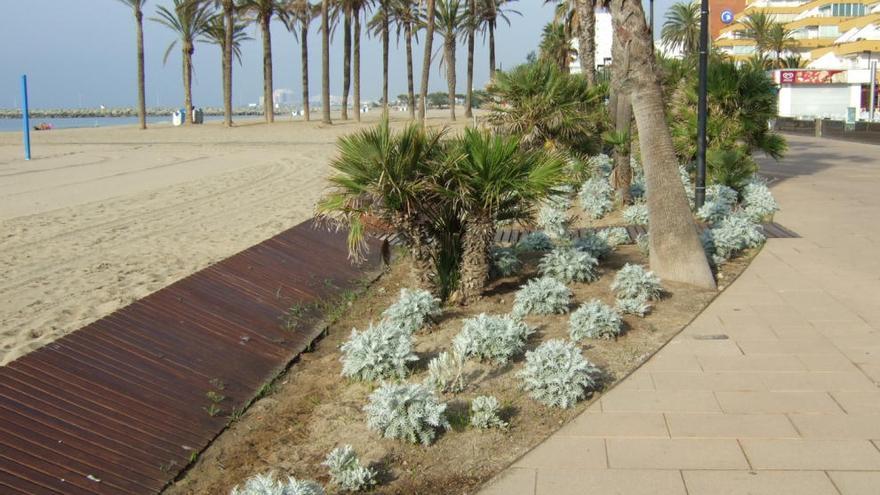 El passeig està canviant la fesomia.